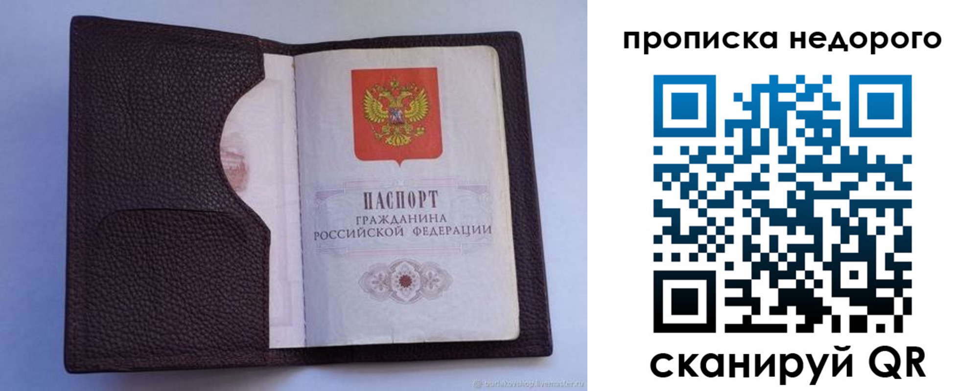 прописка законно в Ряжске
